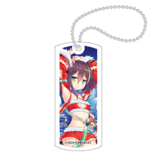キウイ（クリスマス） キーホルダー（タグ型）